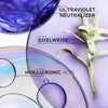Blond Absolu Holiday Gift Set